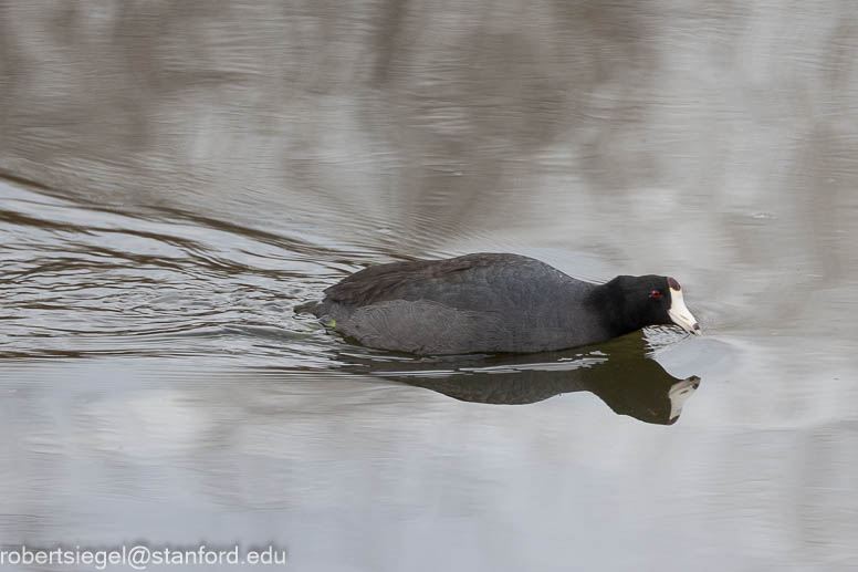 emily renzel wetlands 2024